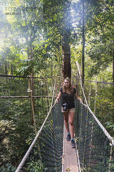 Touristin  Frau auf Hängebrücke im Dschungel  Kuala Tahan  Nationalpark Taman Negara  Malaysia  Asien