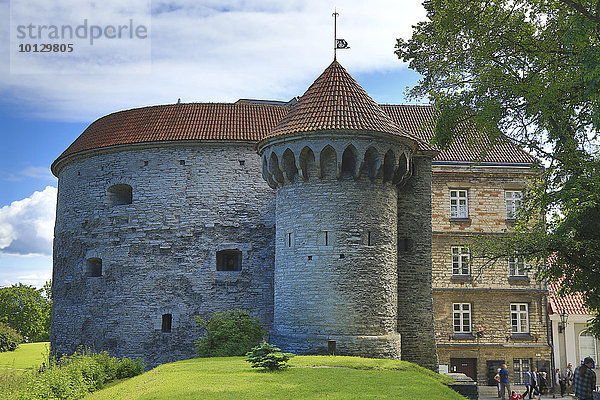 Stadtmauer mit Turm Dicke Margarete am nördlichen Ende der Unterstadt  Tallinn  Estland  Europa