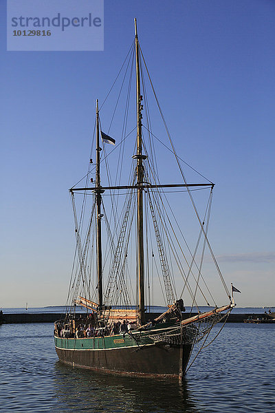 Segelschiff Kajsamoor von 1939 läuft in Hafen ein  Tallinn  Estland  Europa