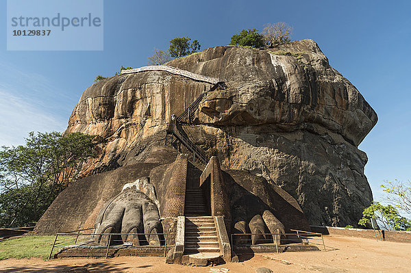 Löwentor und Treppen am Sigiriya  Lion Rock oder Löwenfelsen  Sri Lanka  Asien