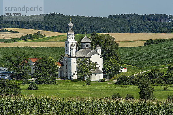 Barocke Wallfahrtskirche Maria Birnbaum  Sielenbach  Aichach-Friedberg  Schwaben  Bayern  Deutschland  Europa