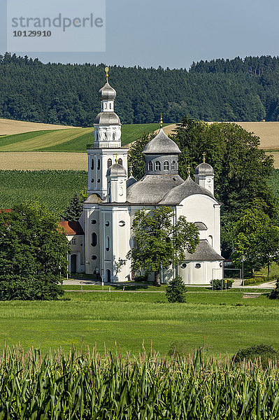 Barocke Wallfahrtskirche Maria Birnbaum  Sielenbach  Aichach-Friedberg  Schwaben  Bayern  Deutschland  Europa