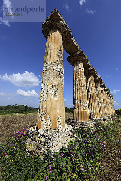 Metaponto  dorischer Heratempel  Tavole Palatine  Basilikata  Italien  Europa