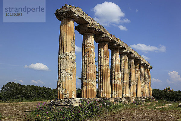 Metaponto  dorischer Heratempel  Tavole Palatine  Basilikata  Italien  Europa