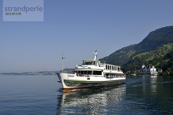 Panoramaschiff MS Flüelen mit Parkhotel im Hintergrund  Vierwaldstättersee  Vitznau  Kanton Luzern  Schweiz  Europa