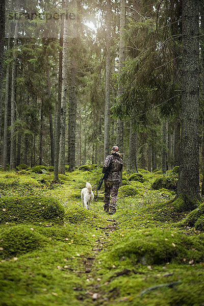 Frau Wald Hund Jagd