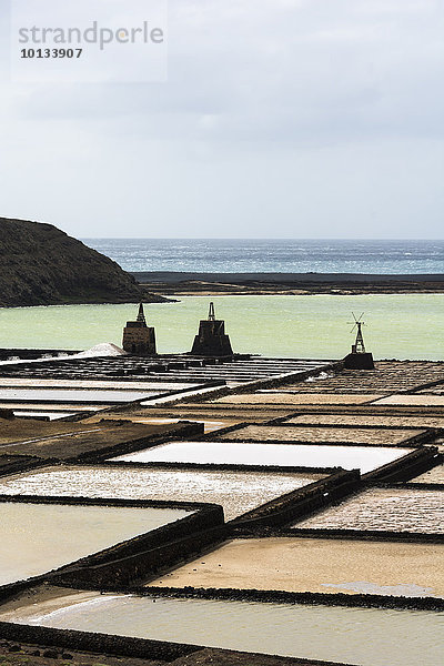 Salinas de Janubio  Lanzarote  Kanarische Inseln  Spanien  Europa