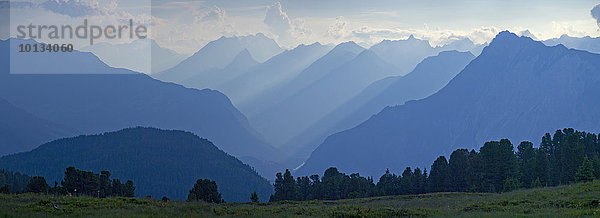 Lechtaler Alpen  Feldringalm  Tirol  Österreich  Europa