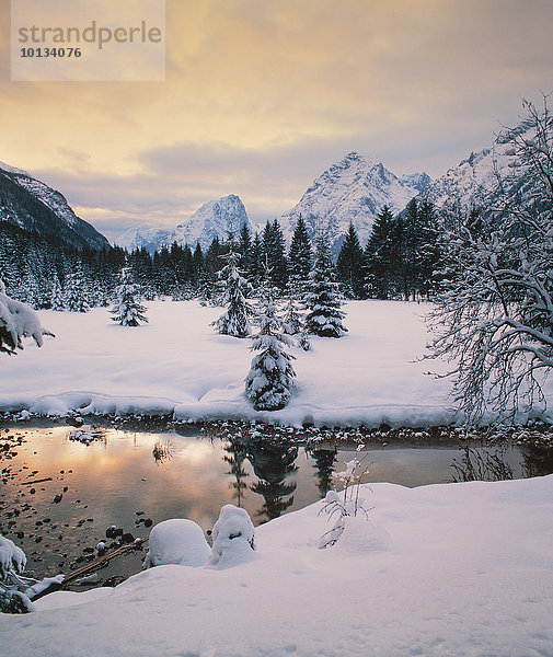 Hohe Munde und Gehrensspitze im Winter  Tirol  Österreich  Europa