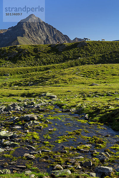 Kühtai  Tirol  Österreich  Europa