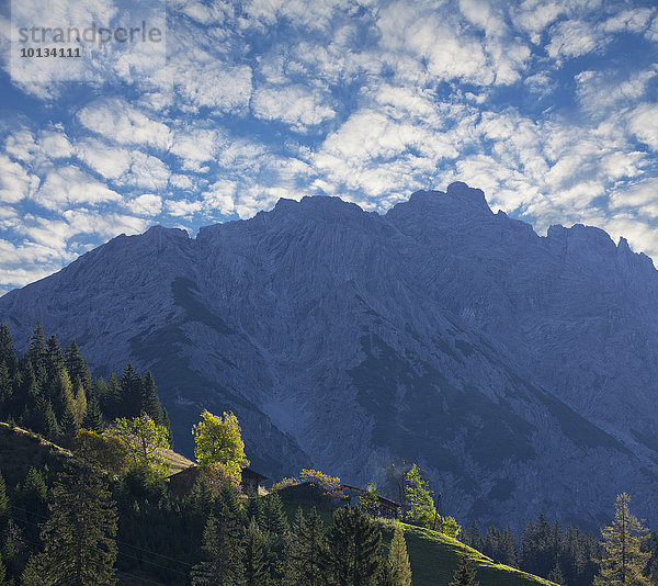 Bergbauernhöfe  Lechtaler Alpen  Tirol  Österreich  Europa