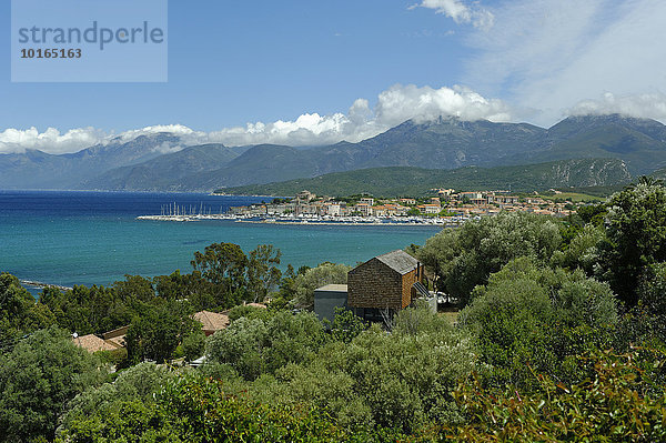 Altstadt mit Hafen in Saint Florent  Département Haute-Corse  Nebbio  Nordküste  Korsika  Frankreich  Europa