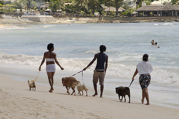 Zwei Frauen und ein Mann führen Hunde am Strand Gassi  Mahé  Seychellen  Afrika