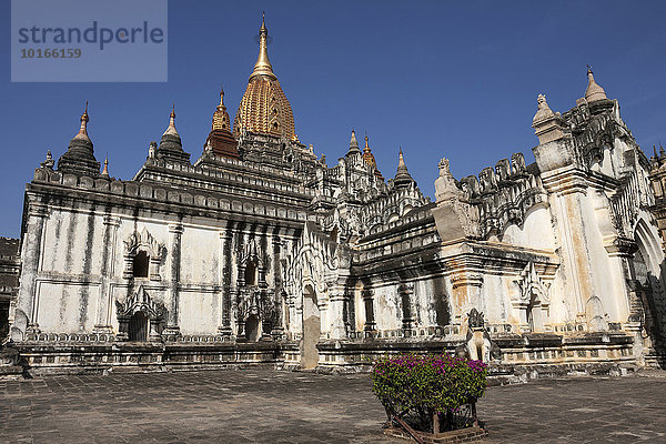 Ananda-Tempel  Pagode  Bagan  Division Mandalay  Myanmar  Asien