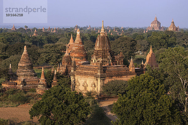 Ausblick auf Pagoden  Tempel  Pagodenfeld  Bagan  Division Mandalay  Myanmar  Asien