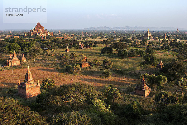 Ausblick auf Pagoden  Tempel  Pagodenfeld  Abendlicht  Bagan  Division Mandalay  Myanmar  Asien