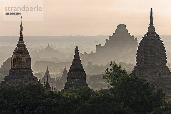 Ausblick auf Pagoden  Tempel  Pagodenfeld  Sonnenaufgang  Morgenlicht  Bagan  Division Mandalay  Myanmar  Asien