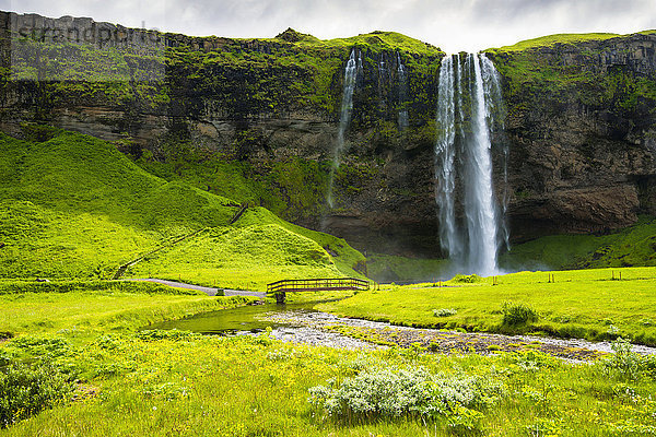 Wasserfall Seljalandsfoss mit grünen Wiesen  Island  Europa