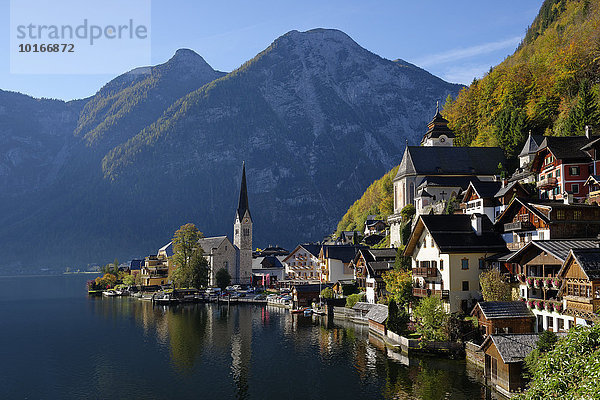 Ortsansicht Hallstatt  Hallstätter See  Salzkammergut  UNESCO-Welterbe Hallstatt-Dachstein Salzkammergut  Oberösterreich  Österreich  Europa