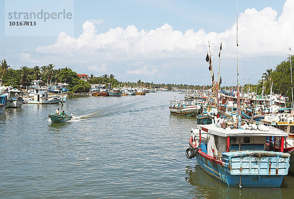 Fischerboote an der Dutch Canal Lagune  Negombo  Westprovinz  Ceylon  Sri Lanka  Asien