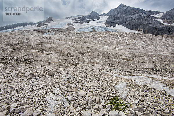 Vor dem Marmolada Gletscher  Ghiacciaio della Marmolada  Marmolata  Dolomiten  Trentino  Südtirol  Italien  Europa