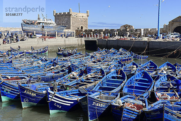 Alte blaue Fischerboote im Hafen  Essaouria  Unesco-Weltkulturerbe  Marokko  Afrika