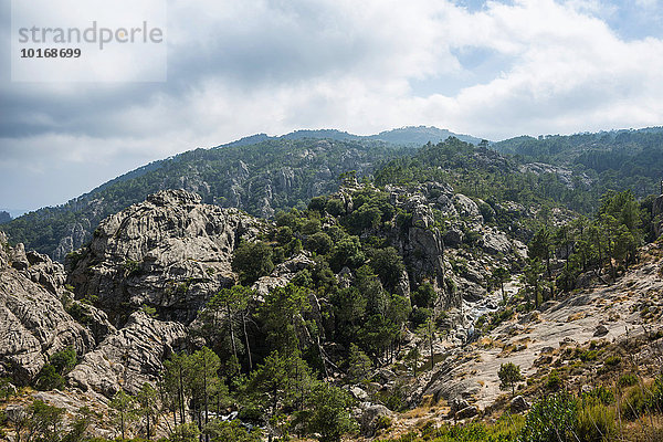 Berglandschaft  L?Ospédale  Alta Rocca  Korsika  Frankreich  Europa