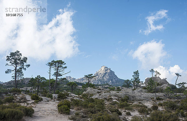 Wanderweg zum Piscia di Gallo  Berglandschaft mit Punta di u Diamante  l?Ospédale  Alta Rocca  Korsika  Frankreich  Europa