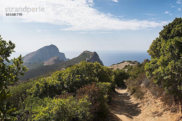 Wanderweg zum Genueserturm  Küste und Berglandschaft  Golf von Porto  Korsika  Frankreich  Europa