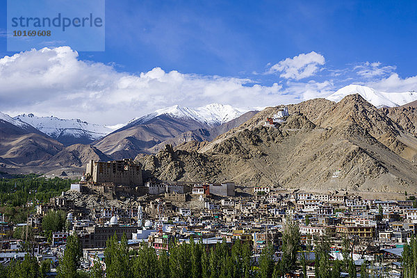 Stadtansicht  Leh  Jammu und Kaschmir  Indien  Asien