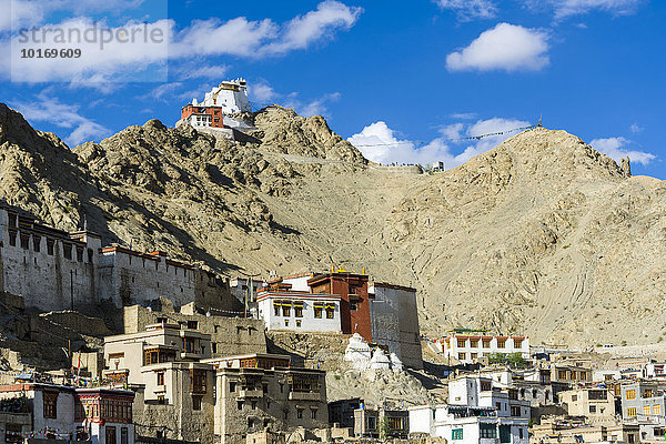 Der Alte Königspalast  in der Altstadt  Namgyal Tsemo Gompa und Tsemo Fort hoch oben auf einem Bergrücken  Leh  Jammu und Kaschmir  Indien  Asien