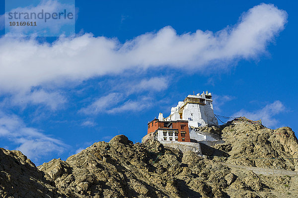 Das Kloster Namgyal Tsemo Gompa und Tsemo Fort auf einem Bergrücken  Leh  Jammu und Kaschmir  Indien  Asien