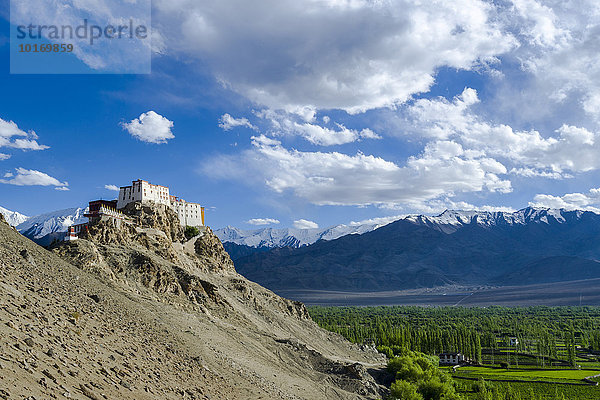 Thiksey-Kloster  Thiksey Gompa auf einem Hügel über dem Indus-Tal  schneebedeckte Berge hinten  Thiksey  Jammu und Kaschmir  Indien  Asien