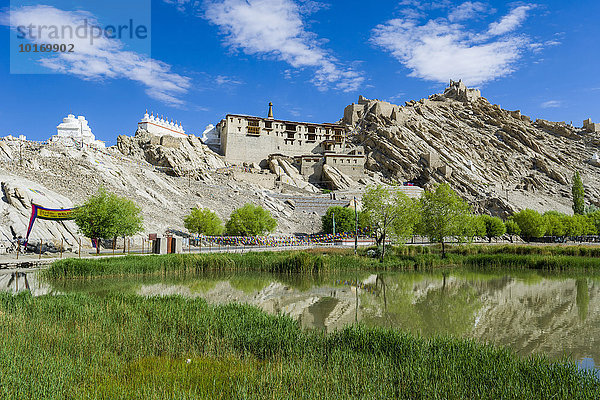Shey-Kloster  Shey Gompa auf einem Hügel über dem Indus-Tal  See und grüne Bäume  Shey  Jammu und Kaschmir  Indien  Asien