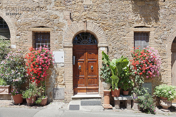 Blumengeschmücktes Haus  Montisi  Toskana  Provinz Siena  Italien  Europa