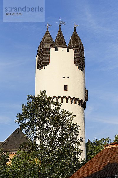 Turm  Bergfried von Steinheimer Schloss  Steinheim am Main  Stadt Hanau  Hessen  Deutschland  Europa