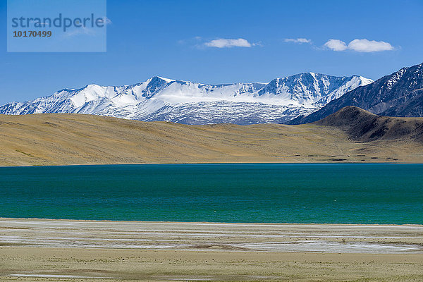 Karge Landschaft mit einem blauen See und schneebedeckten Bergen  Changtang Region  Korzok  Jammu und Kaschmir  Indien  Asien