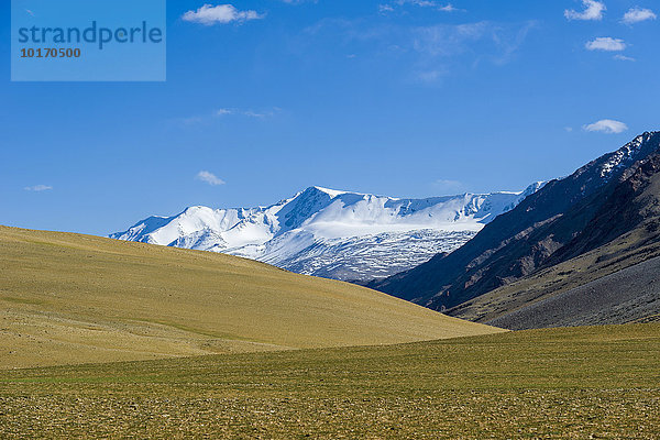 Karge Landschaft mit schneebedeckten Bergen  Changtang Region  Korzok  Jammu und Kaschmir  Indien  Asien