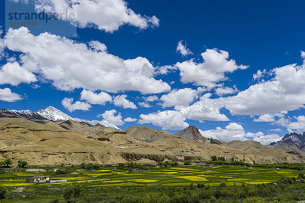 Karge Landschaft  grüne Wiesen  blauer Himmel und Wolken  unterhalb des Passes Fotu La  4108 m  am Srinagar-Leh-Highway  auch National Highway 1D  Lamayuru  Jammu und Kaschmir  Indien  Asien