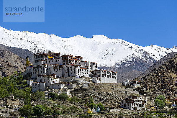 Gebäude des Likir-Klosters  Likir Gompa  schneebedeckte Berge hinten  Likir  Jammu und Kaschmir  Indien  Asien