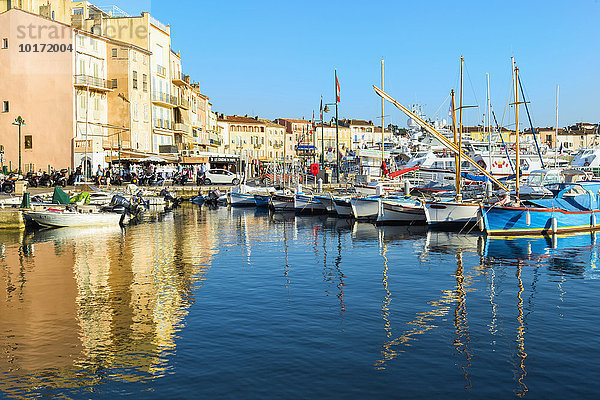 Hafen von Saint Tropez  Var  Provence-Alpes-Côte d'Azur  Frankreich  Europa