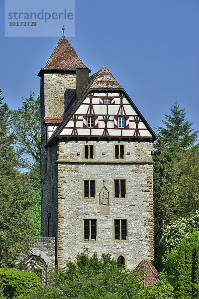 Burg Buchenbach oder Schloss Buchenbach  Ort Buchenbach  Baden-Württemberg  Deutschland  Europa
