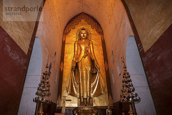 Stehender vergoldeter Buddha  Buddha-Statue  Ananda-Tempel  Bagan  Division Mandalay  Myanmar  Asien