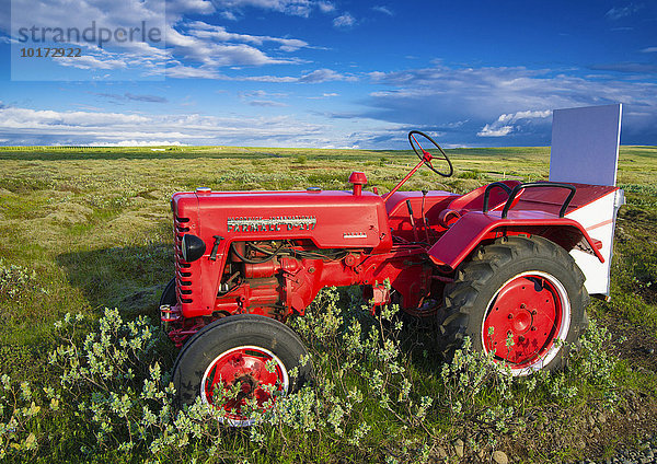 Roter Oldtimer-Traktor  Farmall D-217  steht auf einem Feld  Oldtimer  Island  Europa