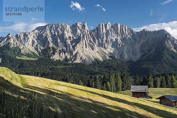 Latemar  Nordseite  vorne Wandergebiet Latemarwald  Dolomiten  UNESCO Weltnaturerbe  Alpen  Welschnofen  Nova Levante  Südtirol  Trentino-Alto Adige  Italien  Europa