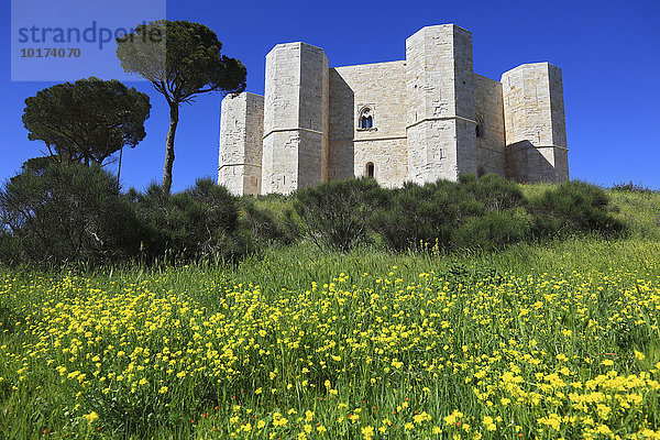 Castel del Monte  Apulien  Italien  Europa