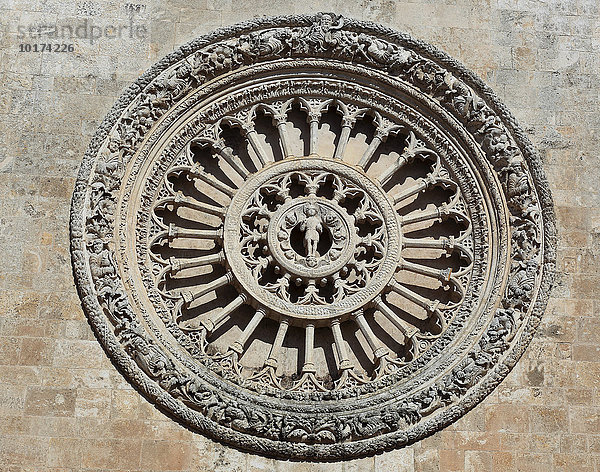 Rosette  Kathedrale Santa Maria Assunta  Ostuni  Apulien  Italien  Europa