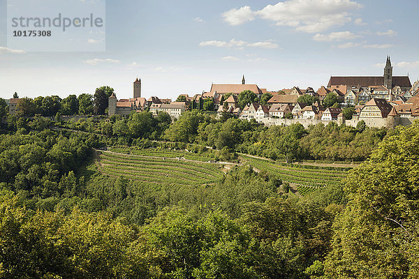 Ausblick über die Stadt  Rothenburg ob der Tauber  Franken  Bayern  Deutschland  Europa