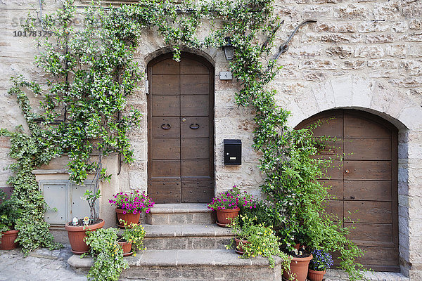 Blumengeschmücktes Haus  Spello  Umbrien  Italien  Europa