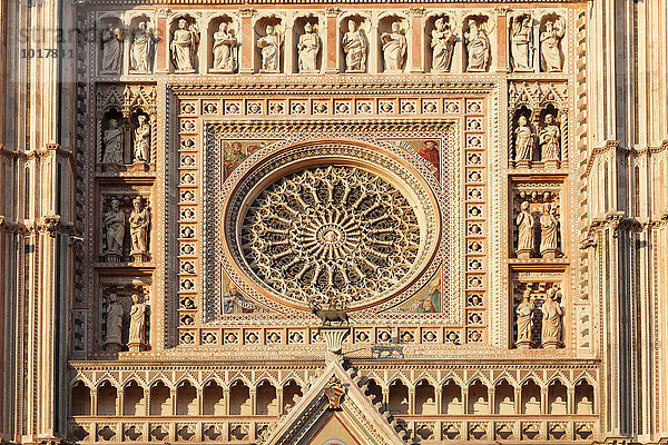 Detail der Fassade  Santa Maria Dom  Orvieto  Umbrien  Italien  Europa